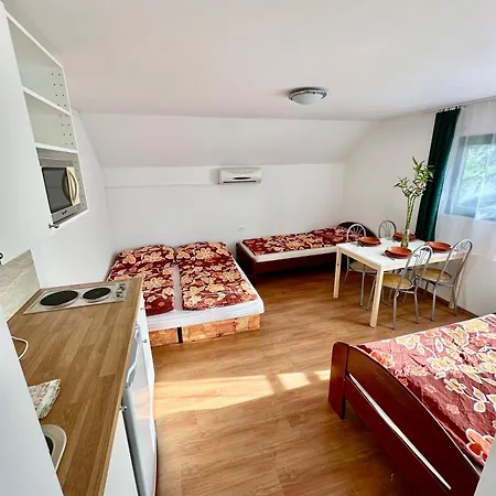 Bamboo - * Štúrovo